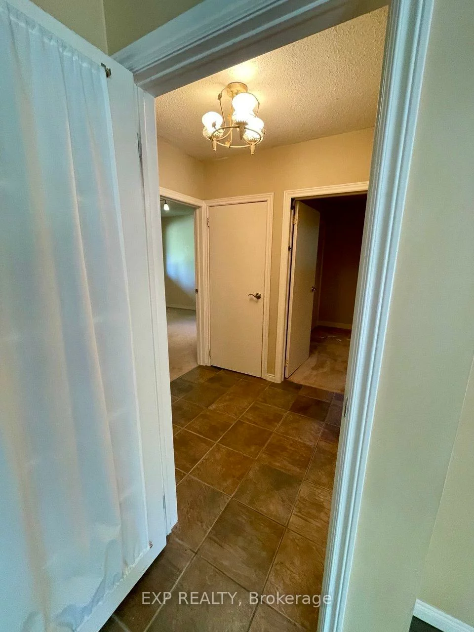 228, Main, Bristol-London, Newmarket