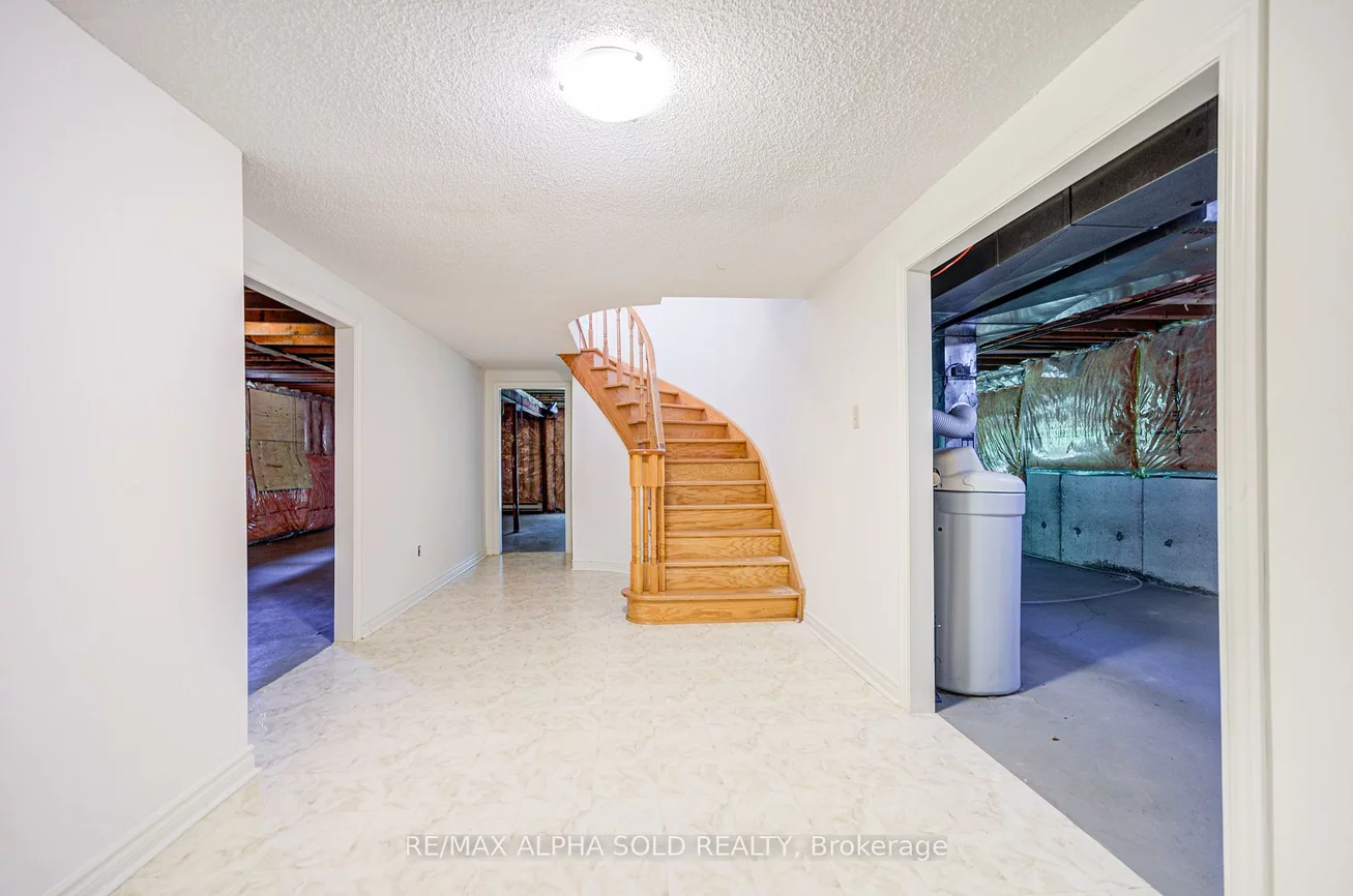 341, Jelley, Armitage, Newmarket