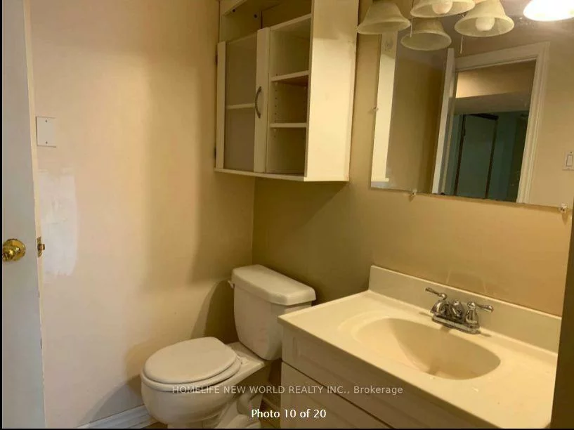 252, Osmond, Bristol-London, Newmarket