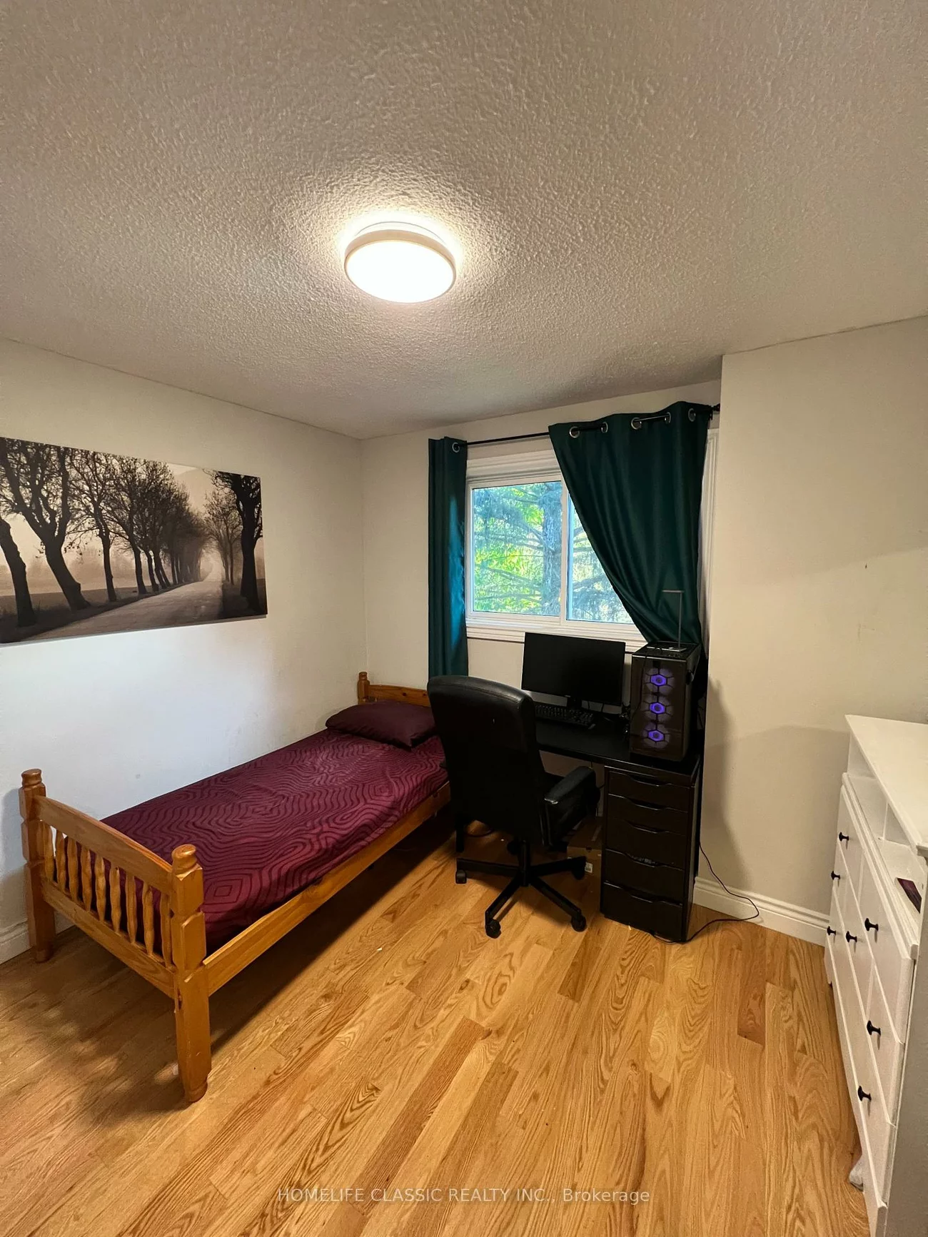 972, Krista, Huron Heights-Leslie Valley, Newmarket