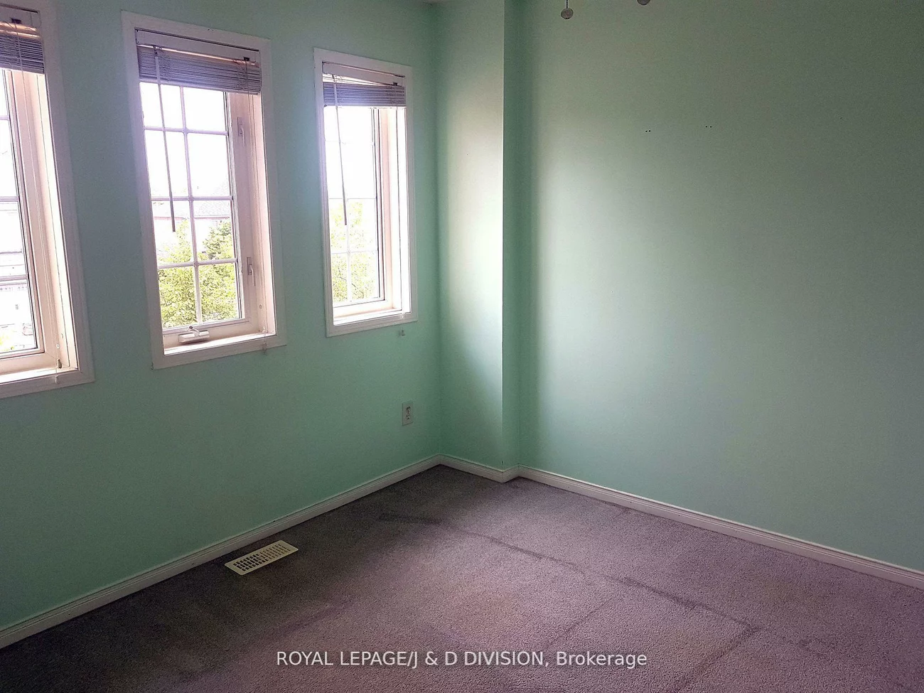 554, Heddle, Stonehaven-Wyndham, Newmarket