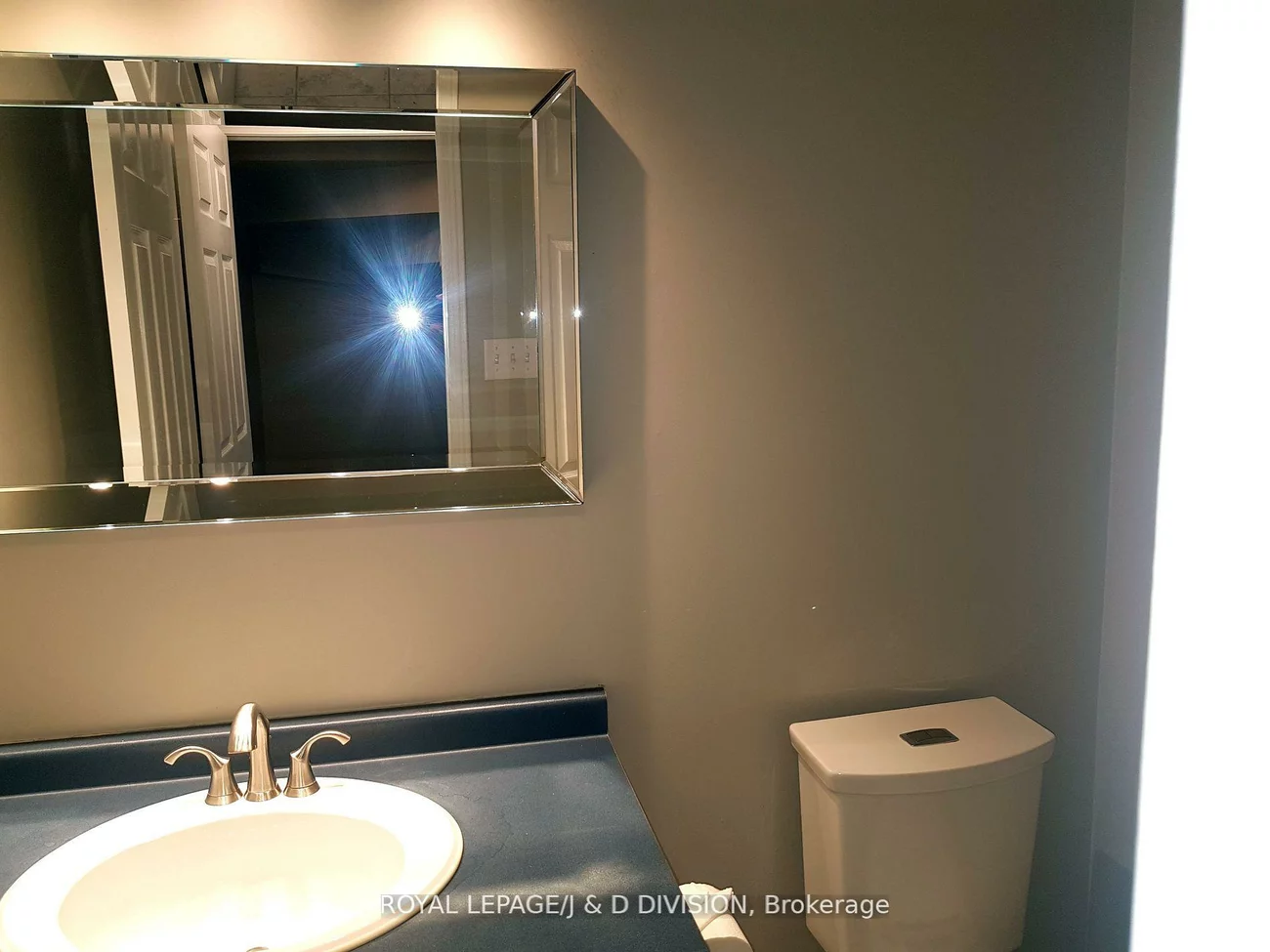 554, Heddle, Stonehaven-Wyndham, Newmarket
