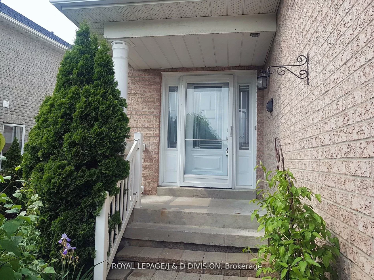 554, Heddle, Stonehaven-Wyndham, Newmarket