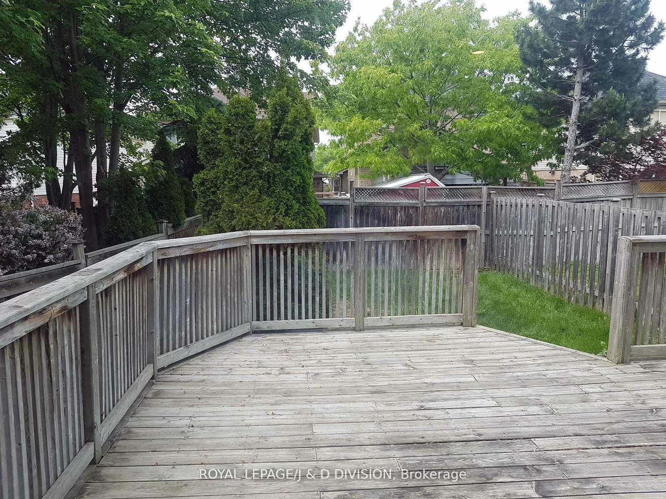 554, Heddle, Stonehaven-Wyndham, Newmarket