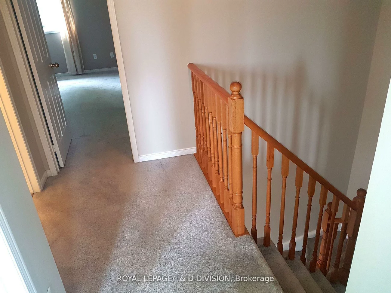 554, Heddle, Stonehaven-Wyndham, Newmarket