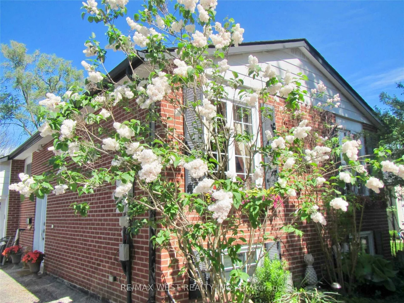 249, Hodgson, Central Newmarket, Newmarket