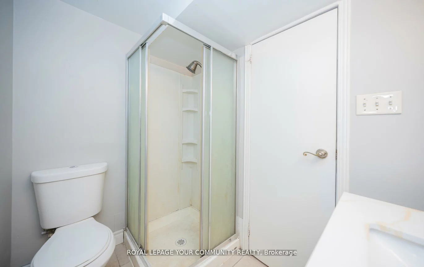 53, Newbury, Bristol-London, Newmarket