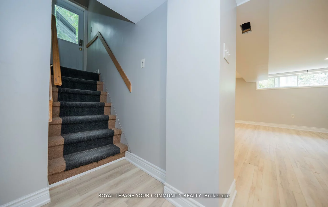 53, Newbury, Bristol-London, Newmarket