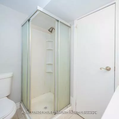 53, Newbury, Bristol-London, Newmarket