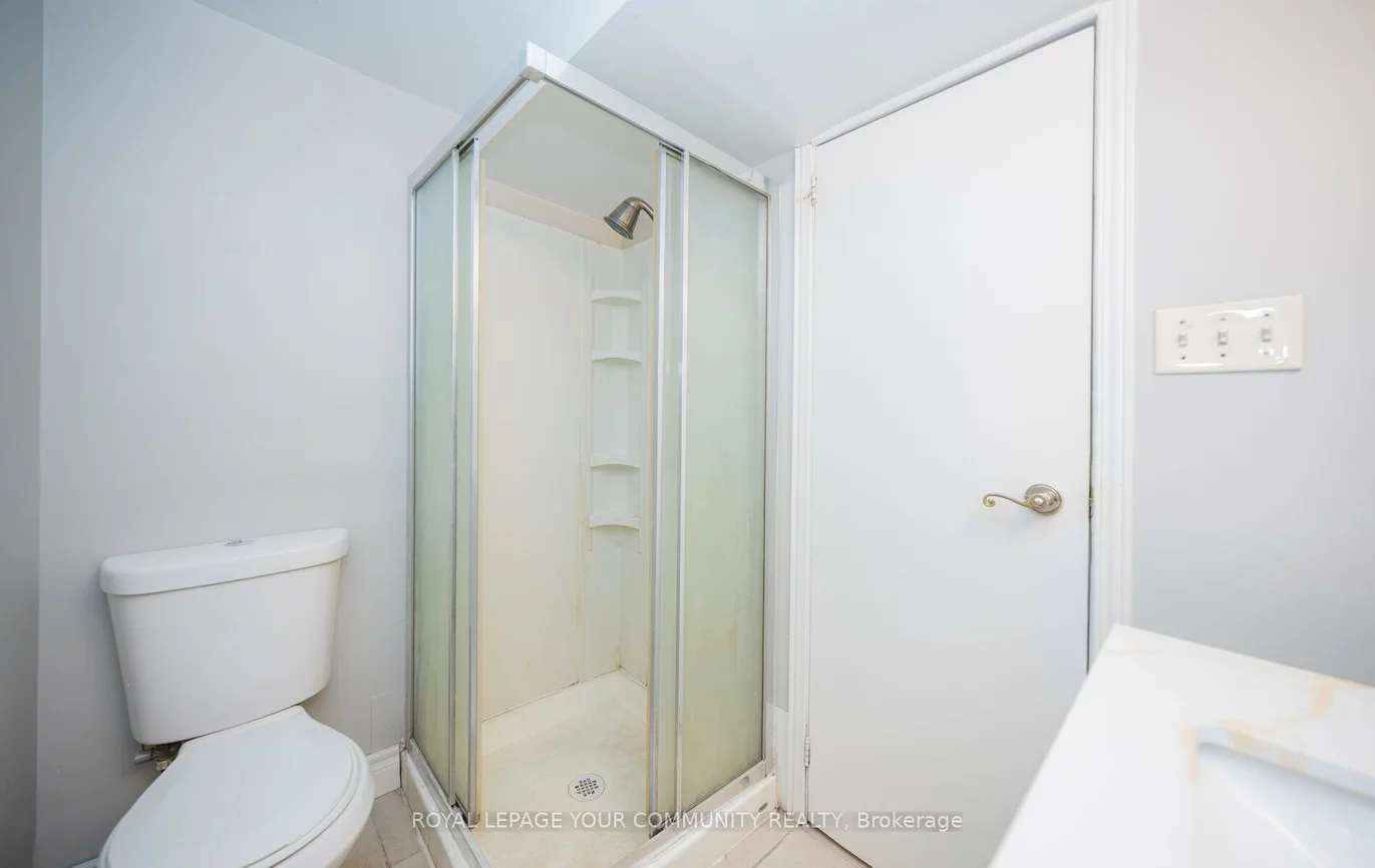 53, Newbury, Bristol-London, Newmarket