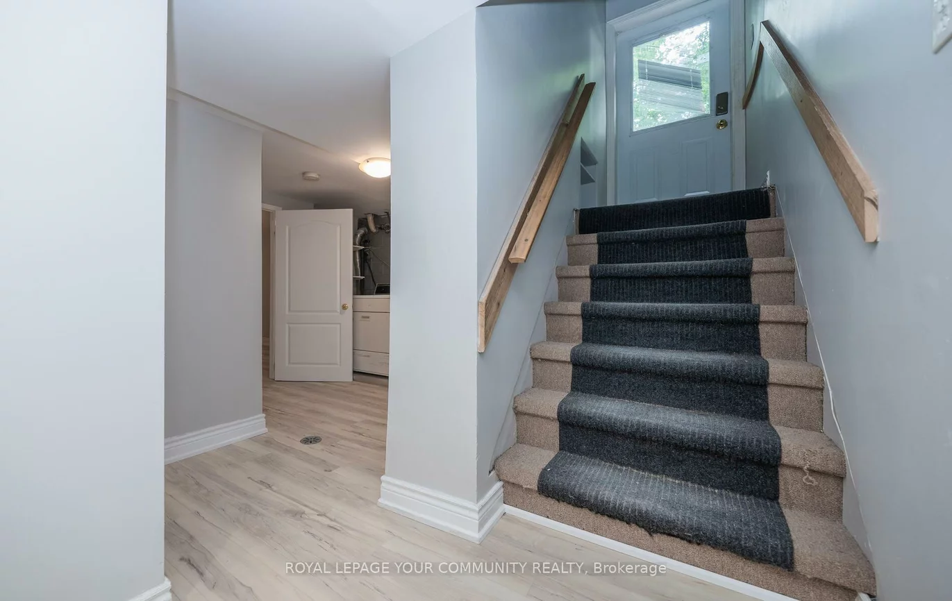 53, Newbury, Bristol-London, Newmarket