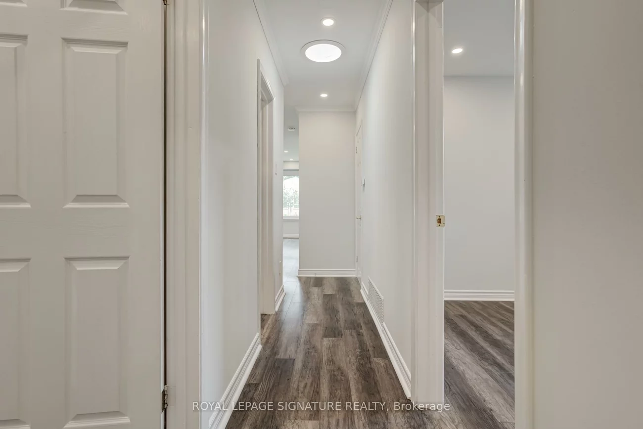 144, Willow, Bristol-London, Newmarket