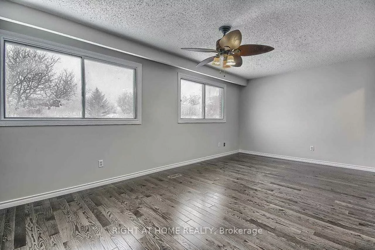 269, Manchester, Bristol-London, Newmarket