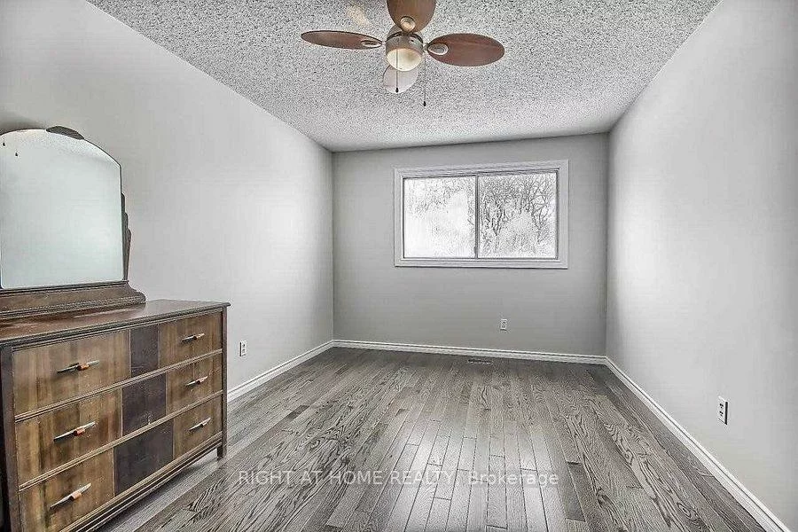 269, Manchester, Bristol-London, Newmarket