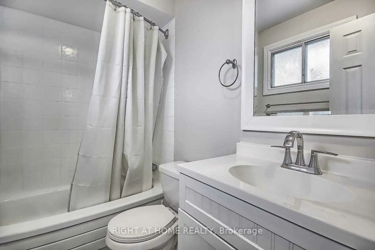 269, Manchester, Bristol-London, Newmarket