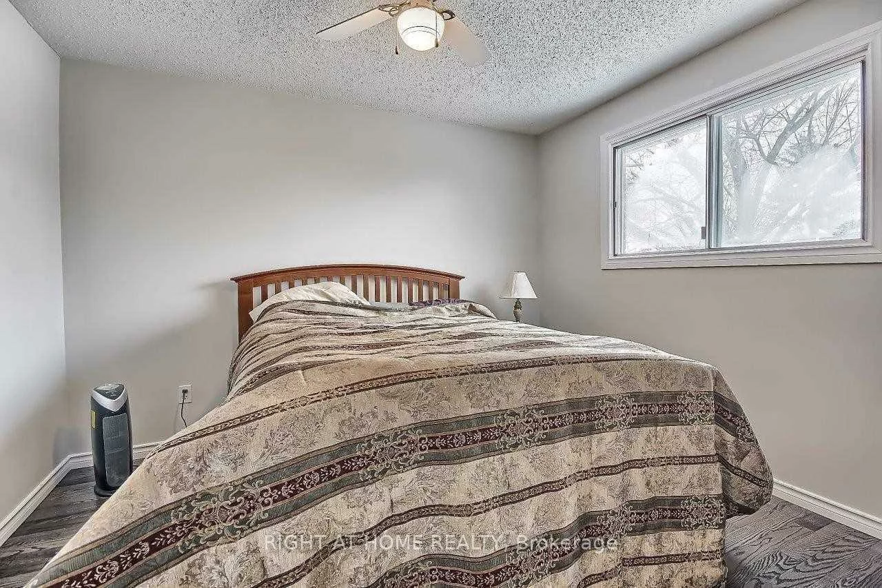 269, Manchester, Bristol-London, Newmarket