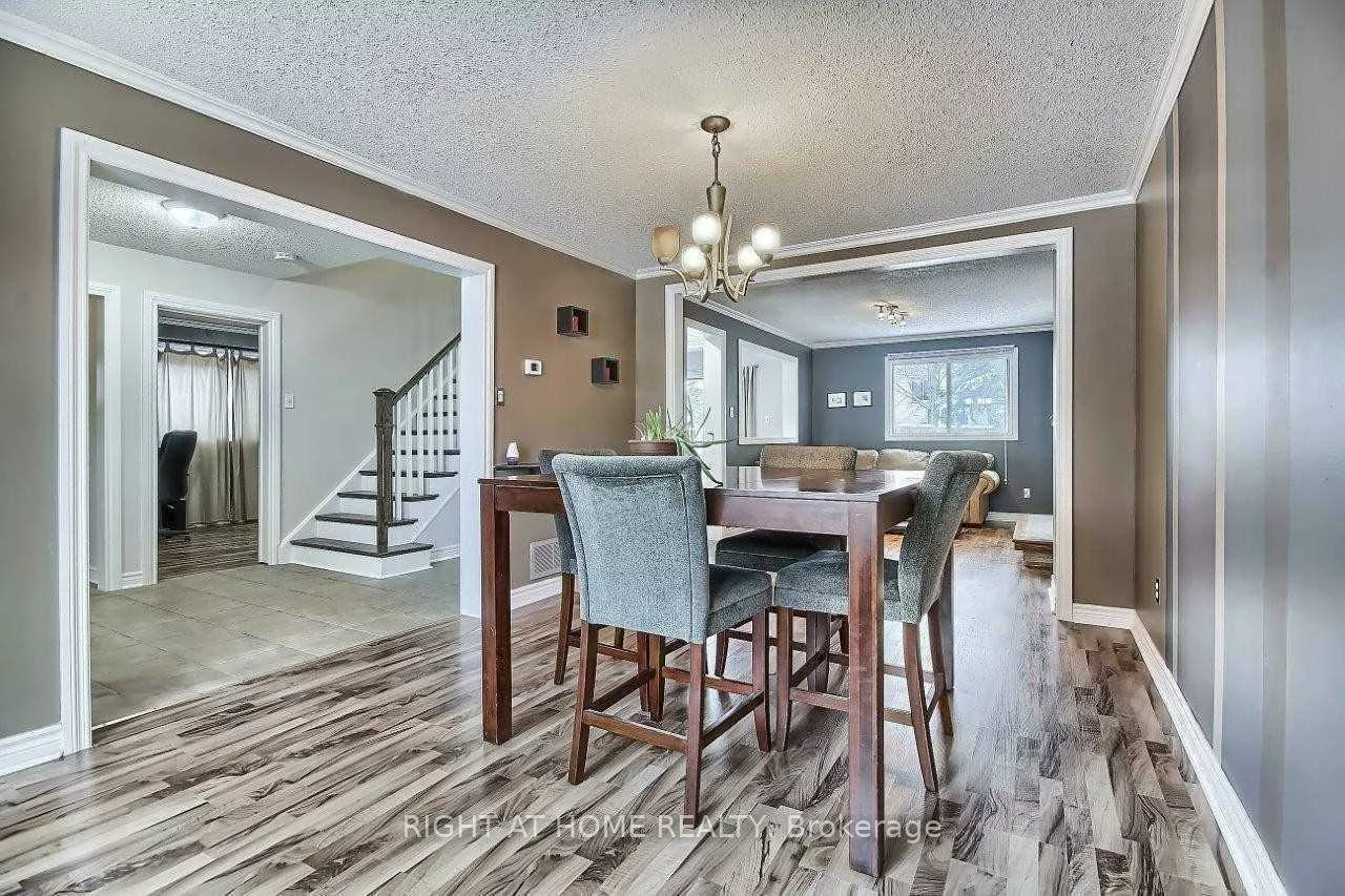 269, Manchester, Bristol-London, Newmarket