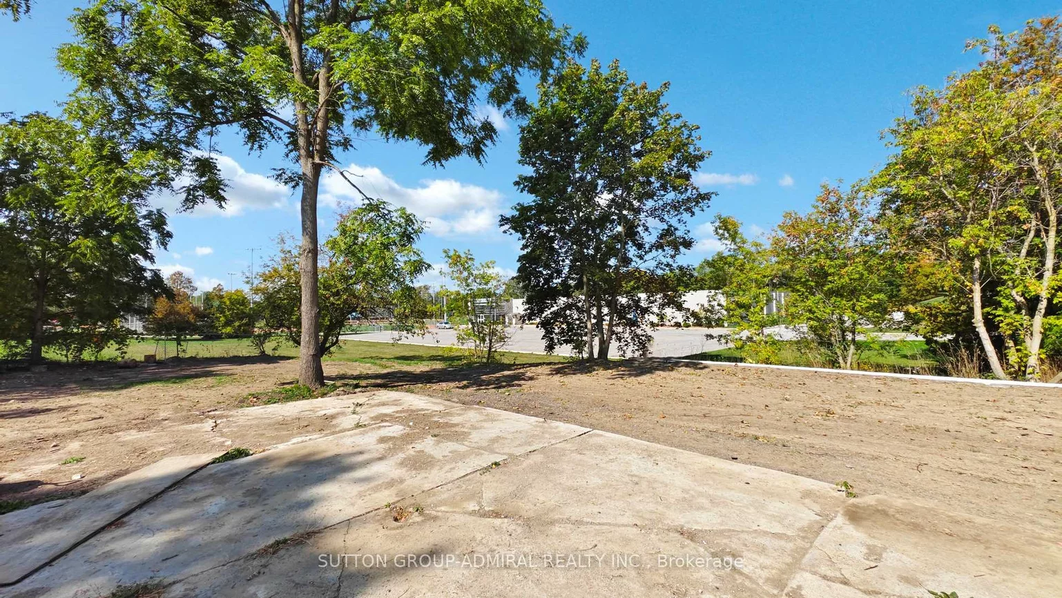 242, Muriel, Central Newmarket, Newmarket