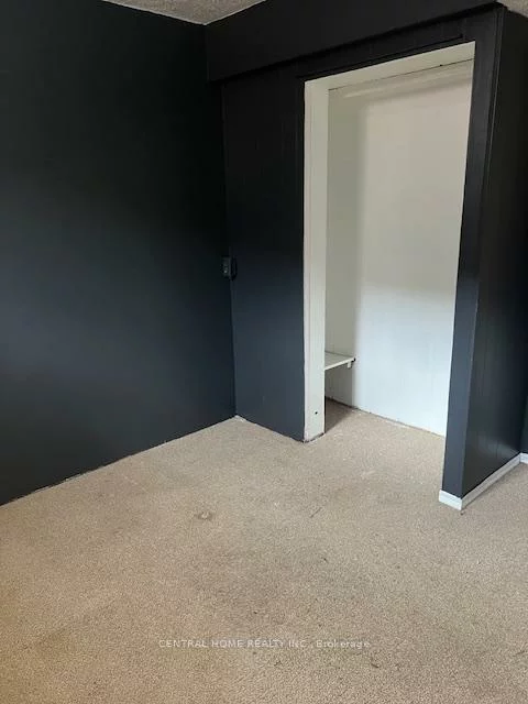 192, Silverbirch, Bristol-London, Newmarket