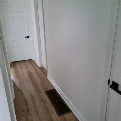 256, Silverbirch, Bristol-London, Newmarket