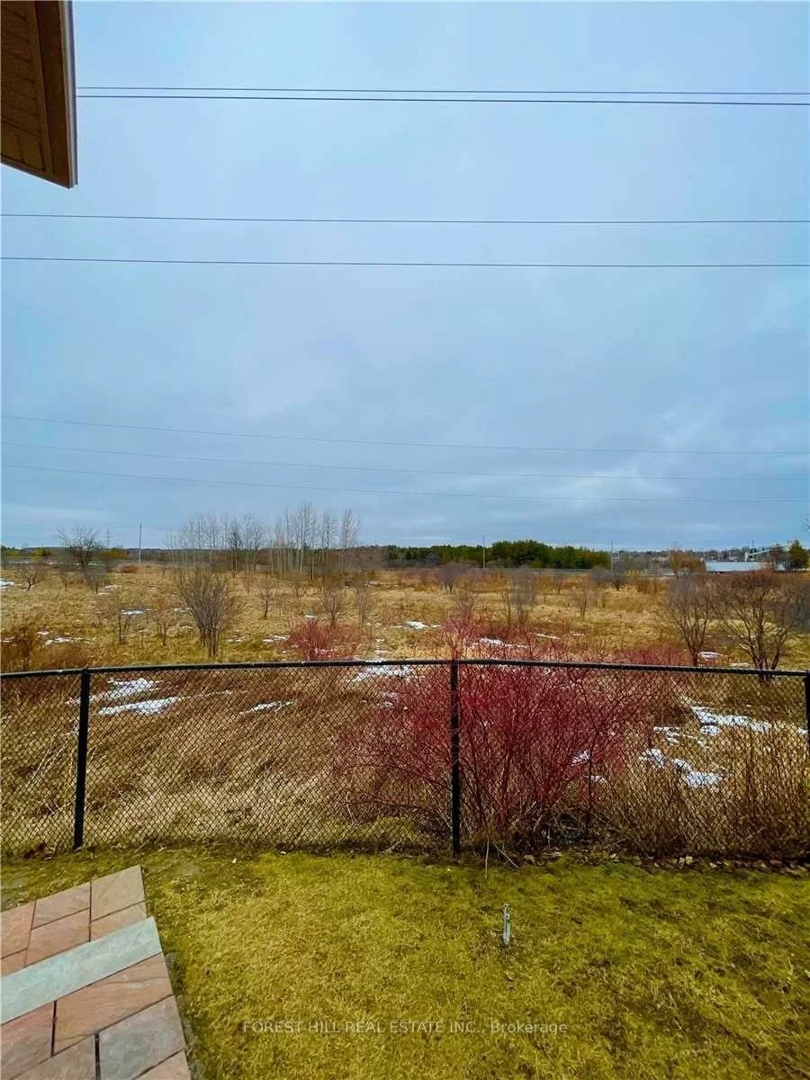 432, Sydor, Stonehaven-Wyndham, Newmarket