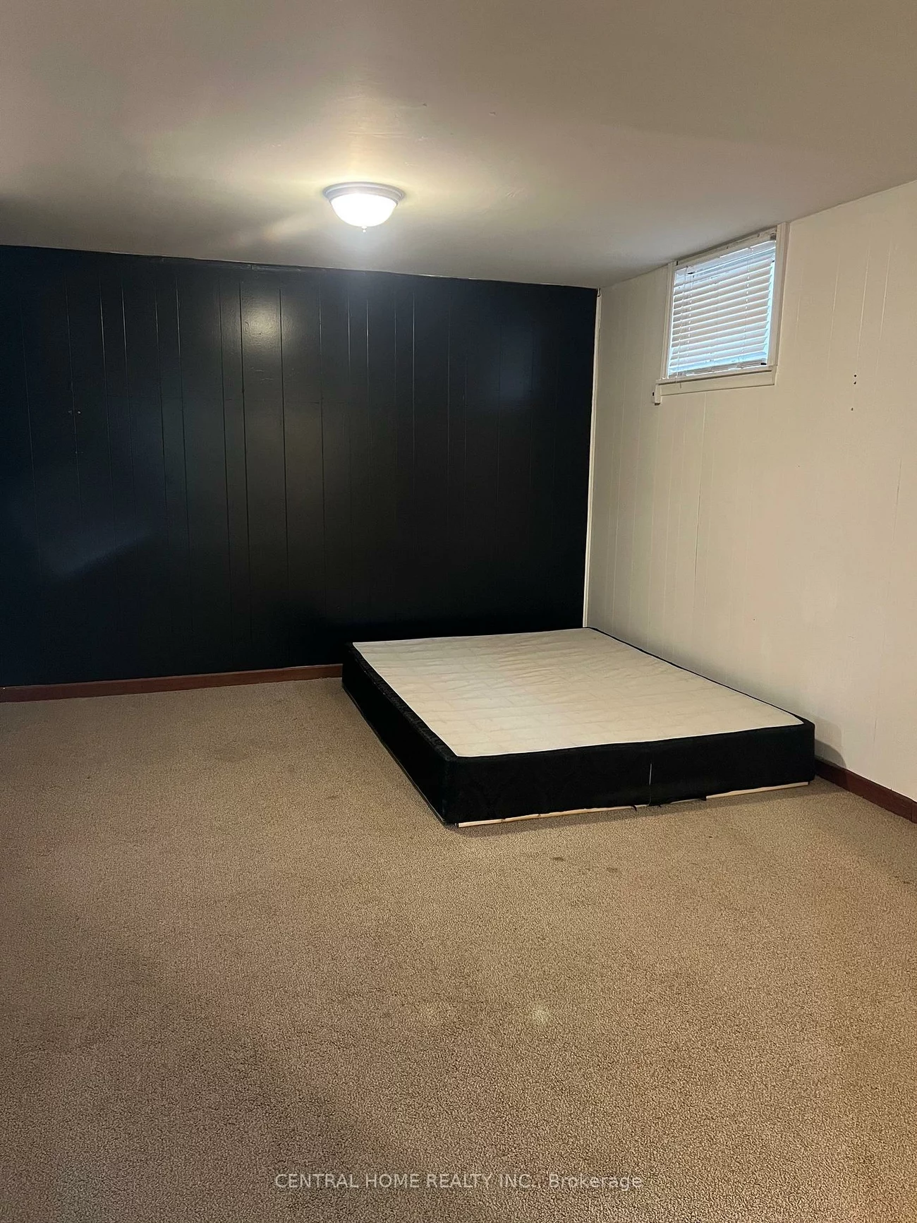 192, Silverbirch, Bristol-London, Newmarket