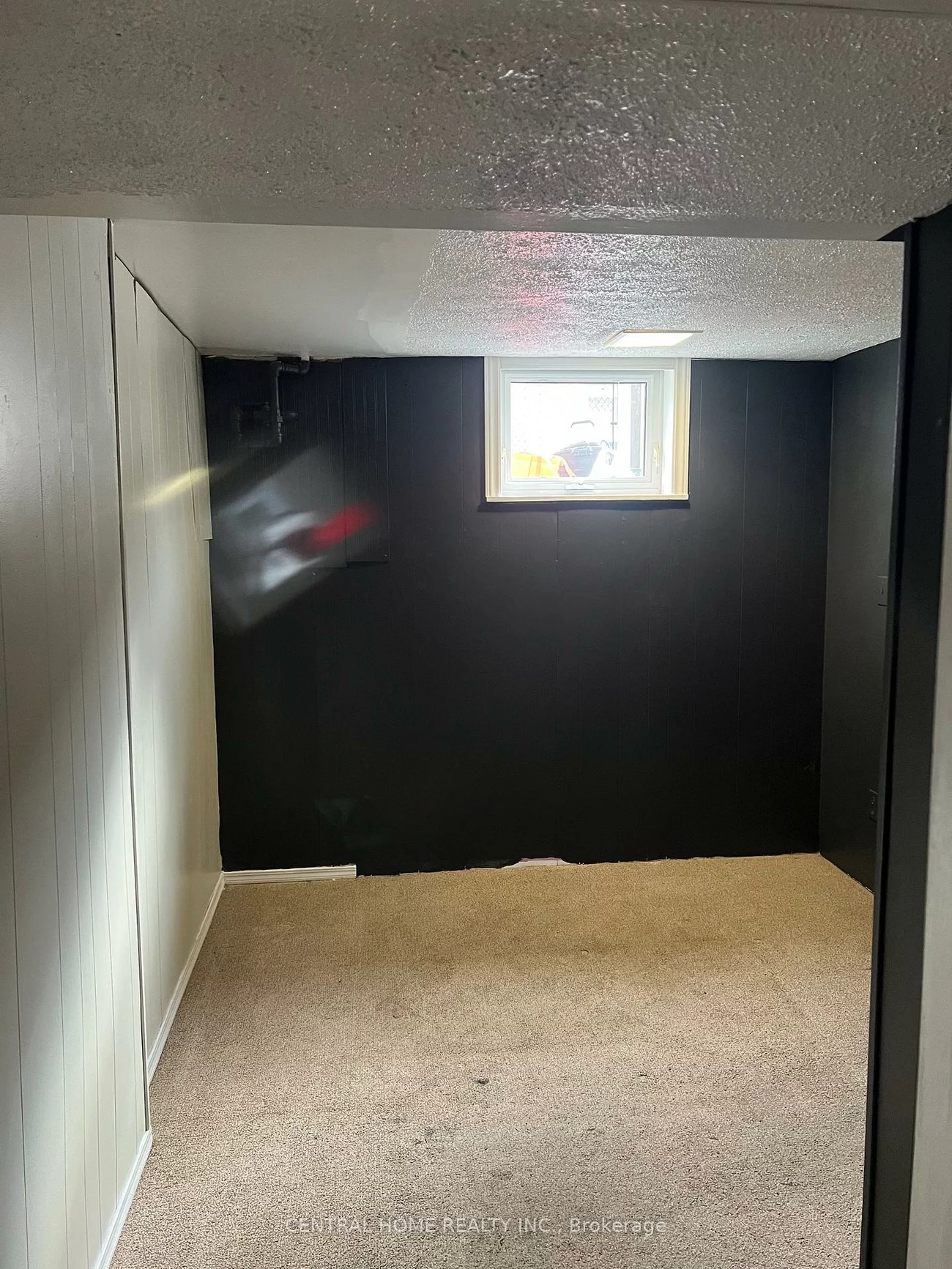 192, Silverbirch, Bristol-London, Newmarket