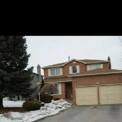 252, Osmond, Bristol-London, Newmarket