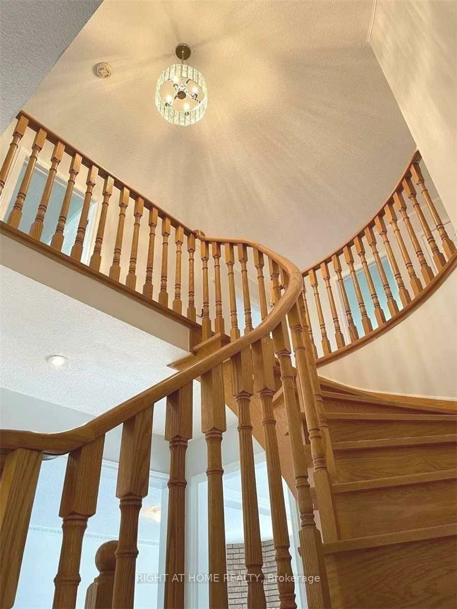 861, Cassie, Armitage, Newmarket