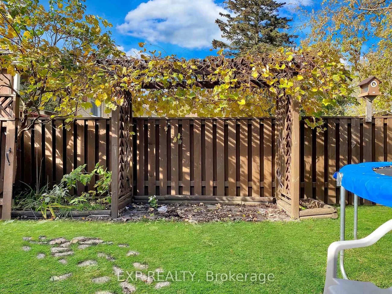 66, Walter, Bristol-London, Newmarket