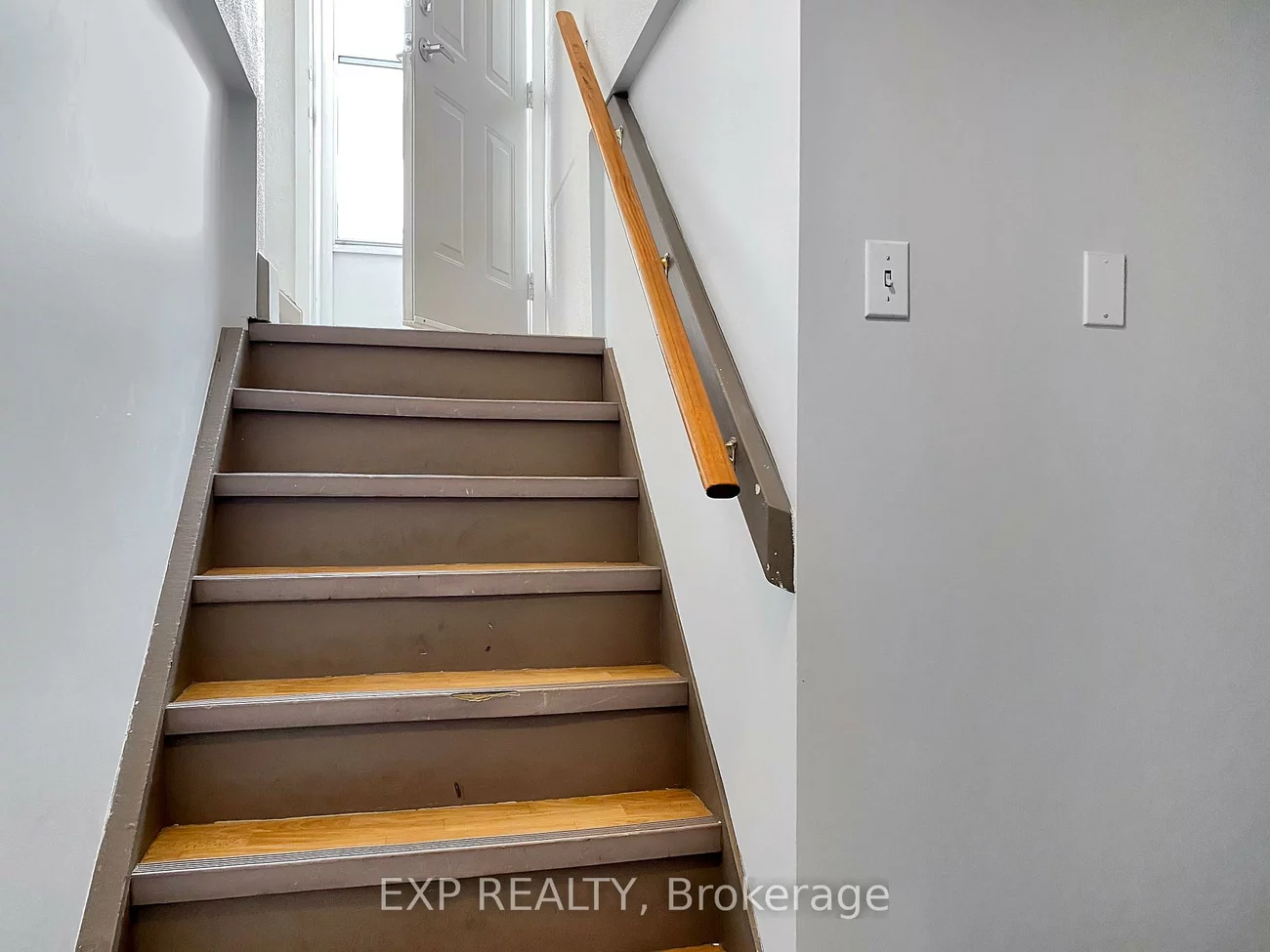 66, Walter, Bristol-London, Newmarket