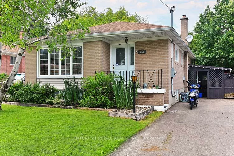 257, Silverbirch, Bristol-London, Newmarket