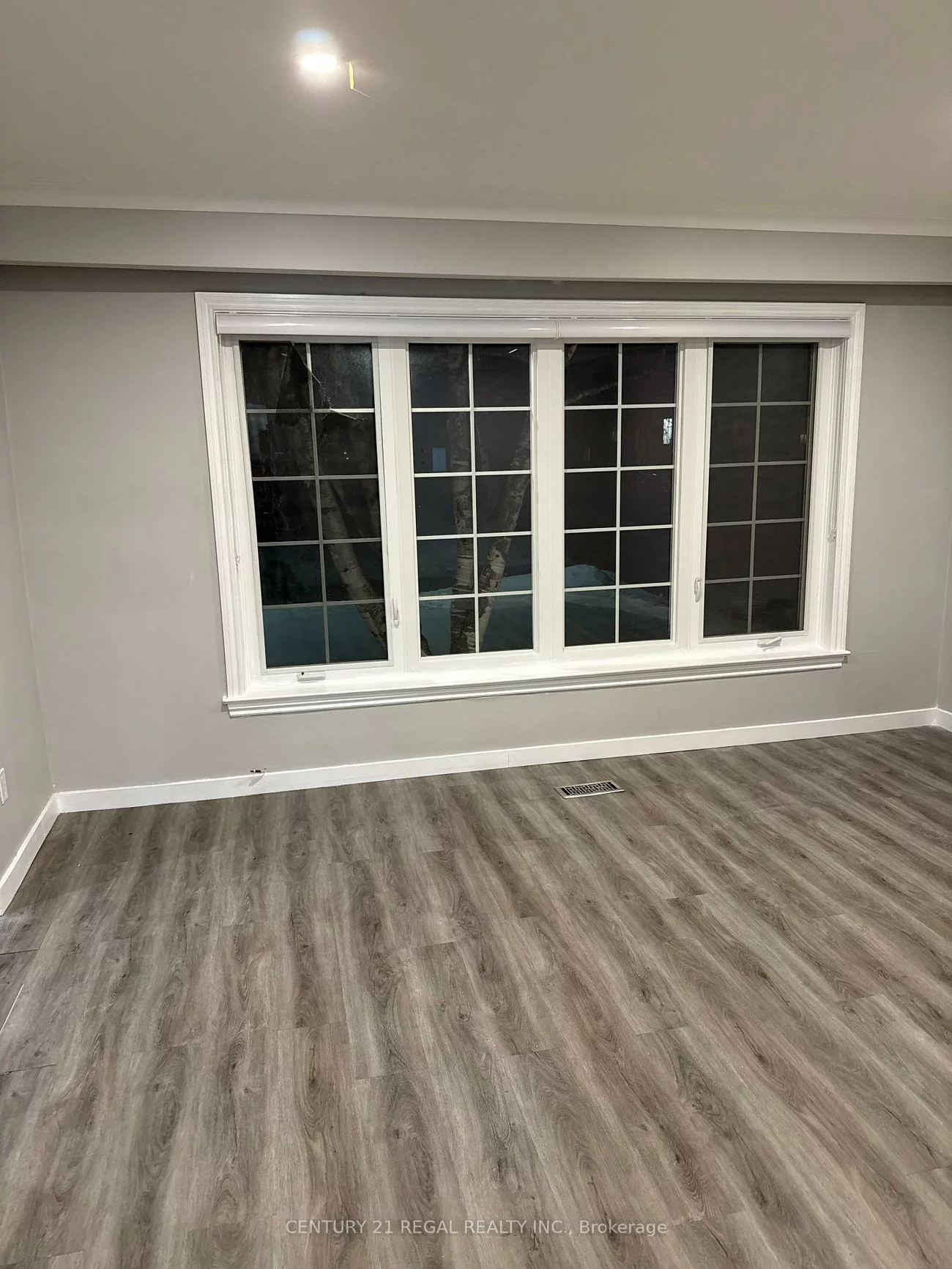 257, Silverbirch, Bristol-London, Newmarket