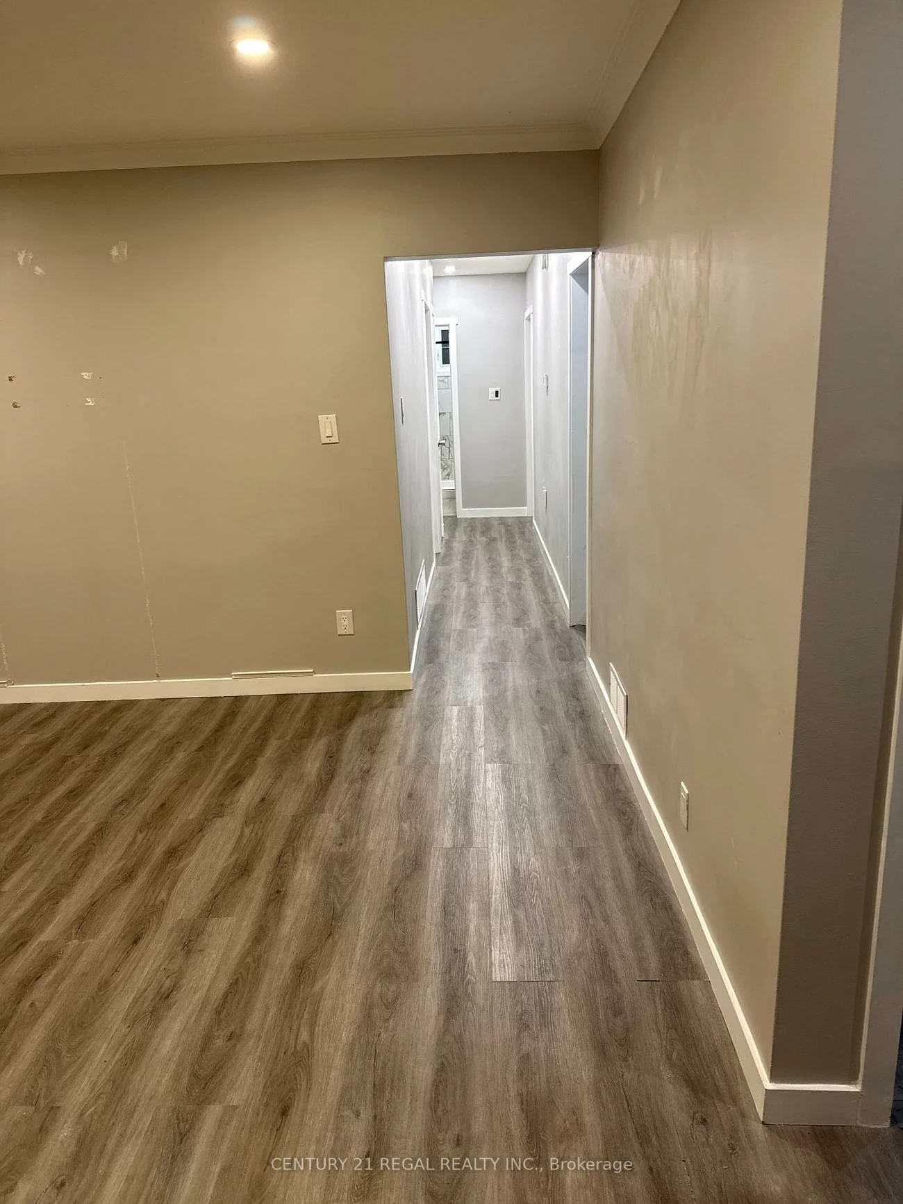 257, Silverbirch, Bristol-London, Newmarket