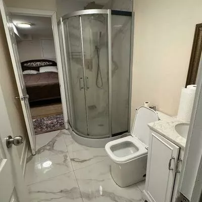 337, Bristol, Bristol-London, Newmarket