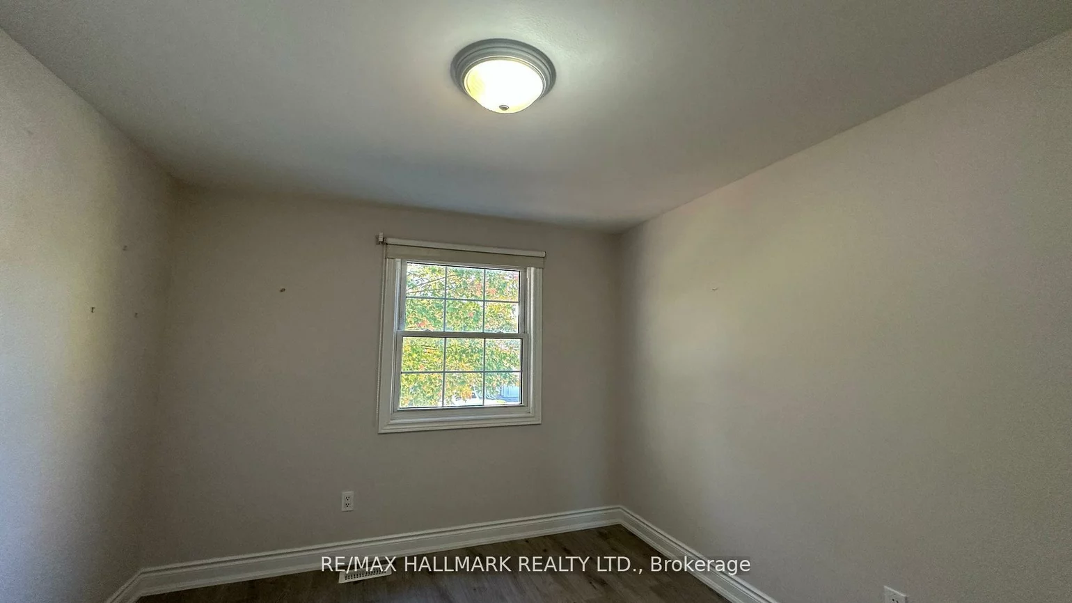 361, Terry, Central Newmarket, Newmarket