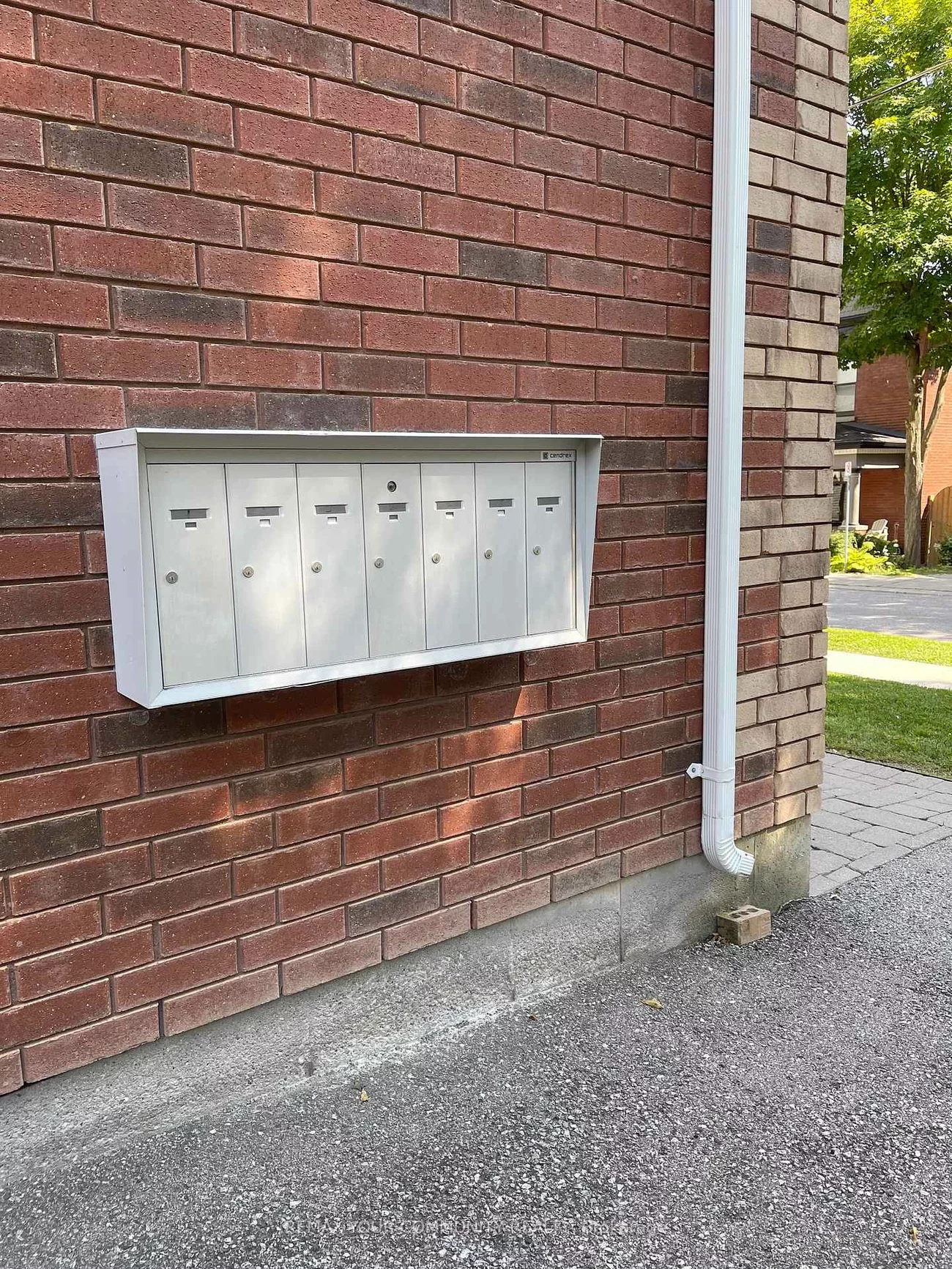 443, Timothy, Central Newmarket, Newmarket