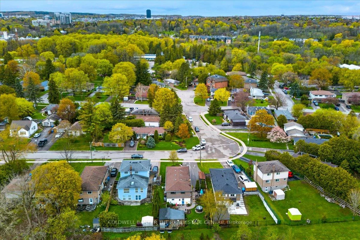 117, Bolton, Huron Heights-Leslie Valley, Newmarket