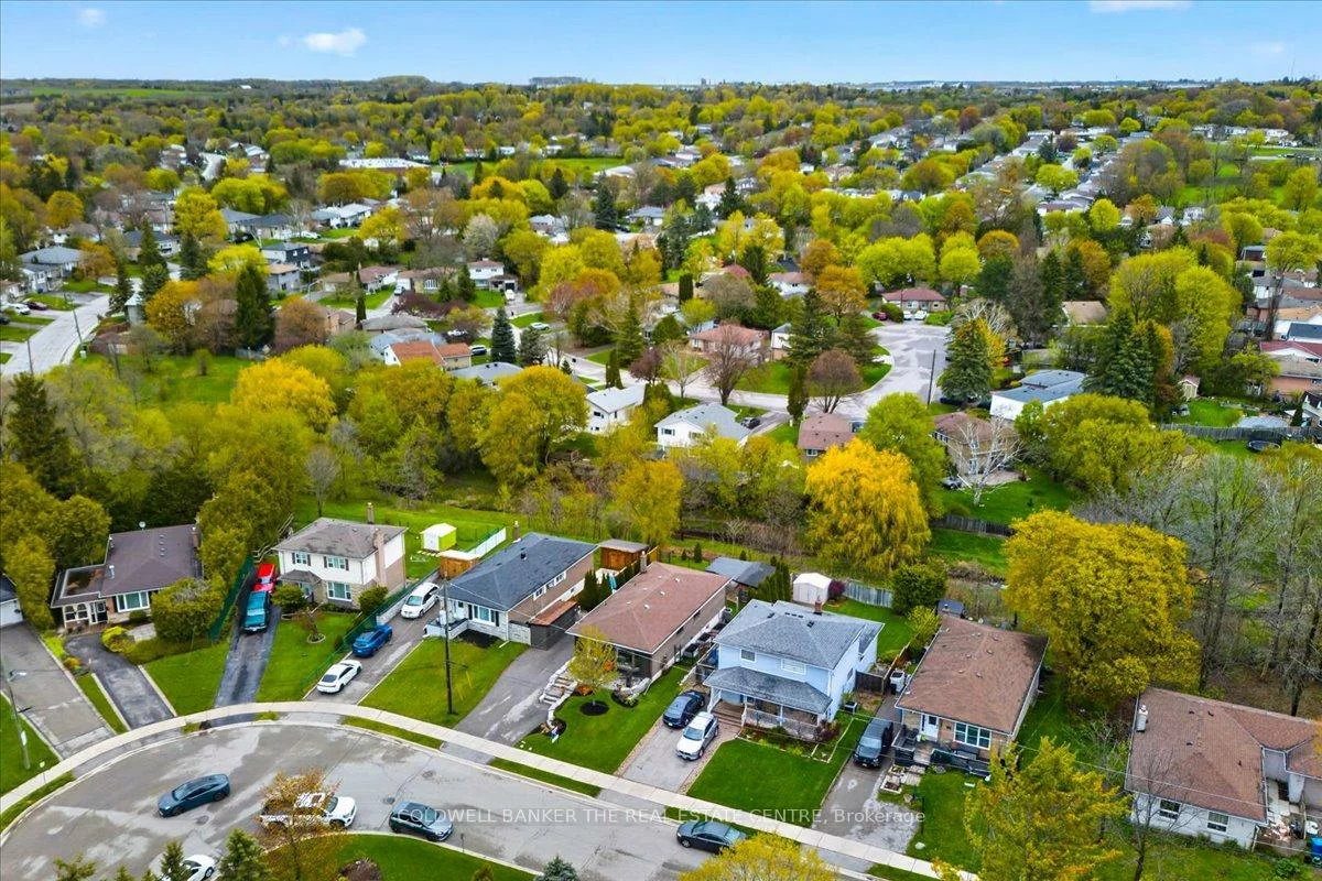 117, Bolton, Huron Heights-Leslie Valley, Newmarket