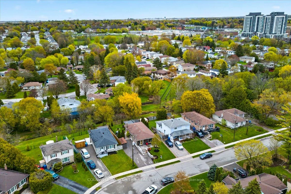 117, Bolton, Huron Heights-Leslie Valley, Newmarket