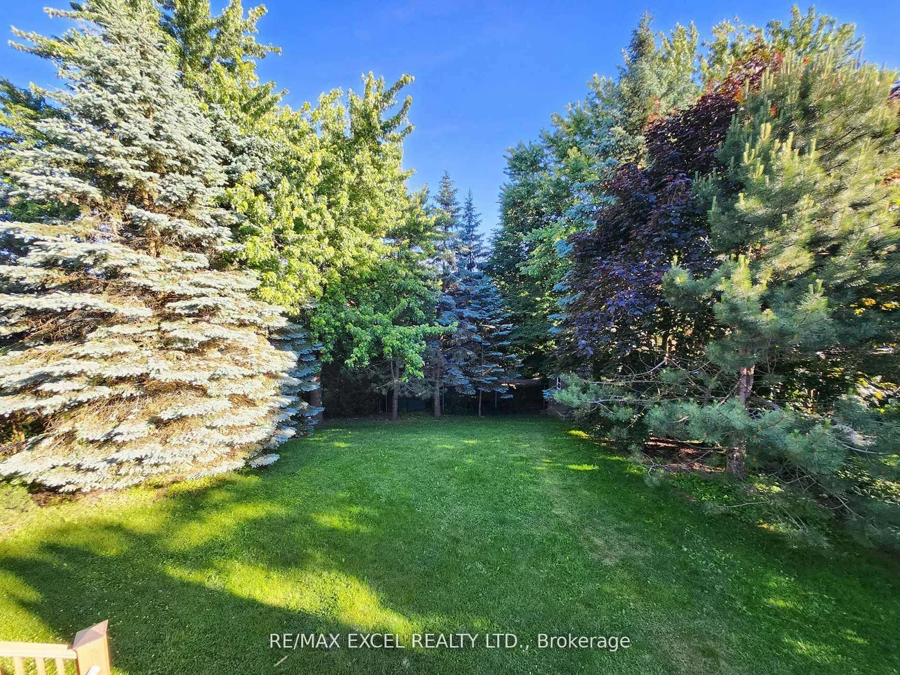 316, Alex Doner, Glenway Estates, Newmarket