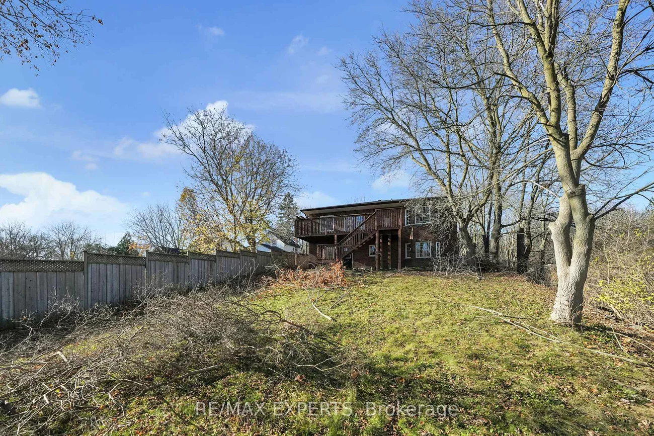 97, Franklin, Bristol-London, Newmarket