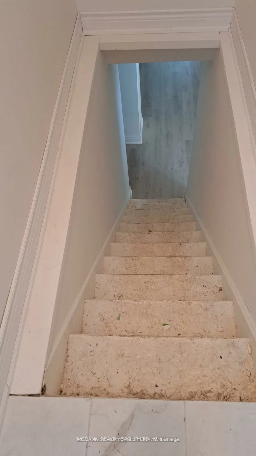 562, Mulock, Gorham-College Manor, Newmarket