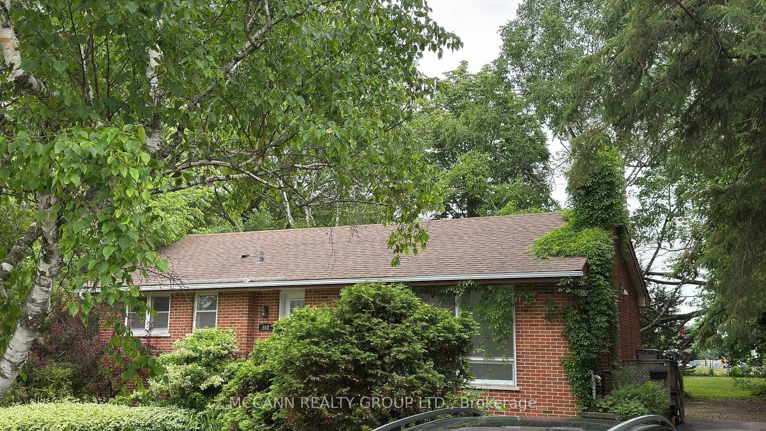 562, Mulock, Gorham-College Manor, Newmarket