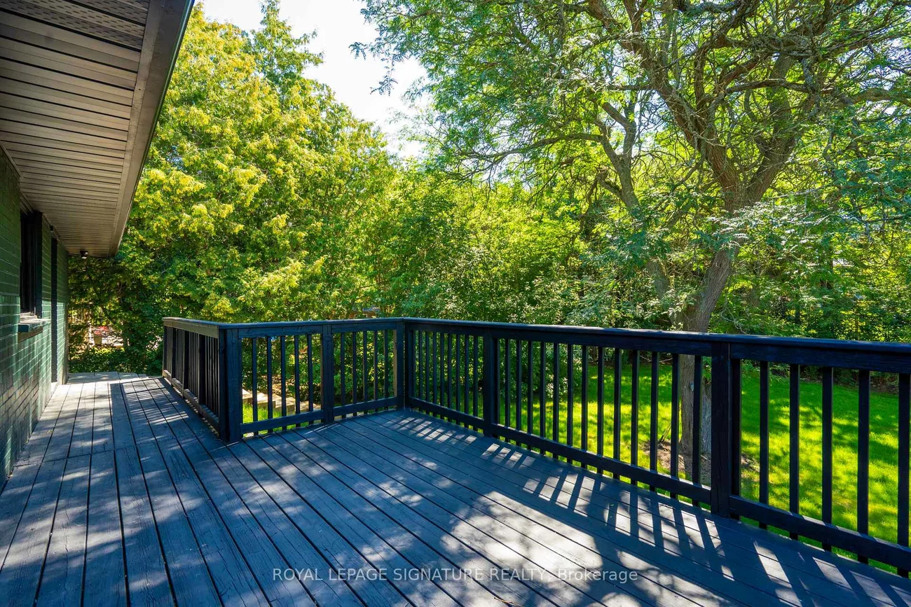 986, Srigley, Gorham-College Manor, Newmarket