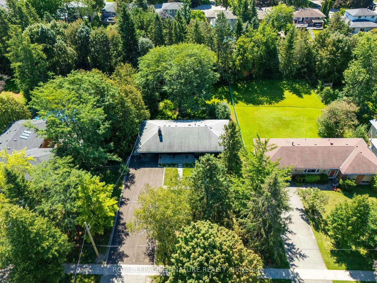 986, Srigley, Gorham-College Manor, Newmarket