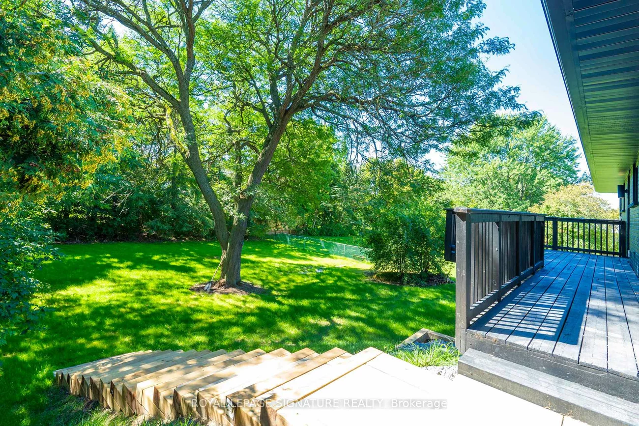 986, Srigley, Gorham-College Manor, Newmarket