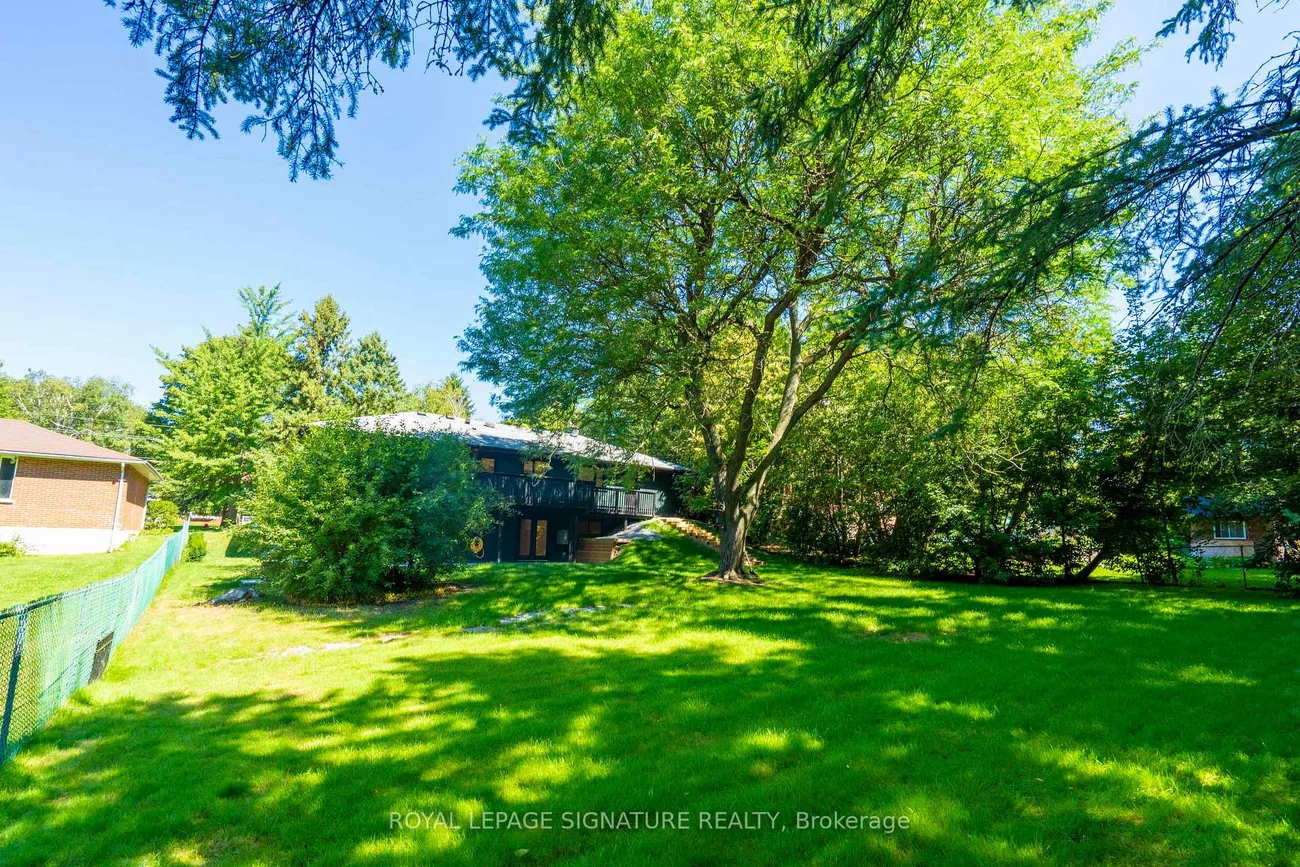986, Srigley, Gorham-College Manor, Newmarket