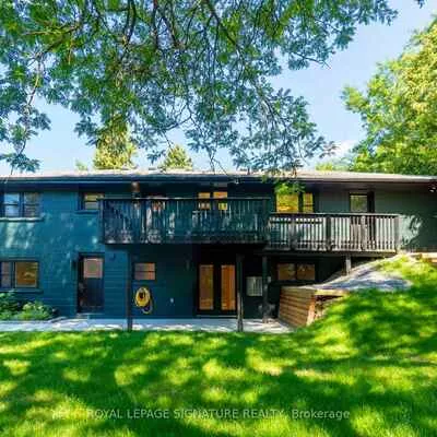 986, Srigley, Gorham-College Manor, Newmarket