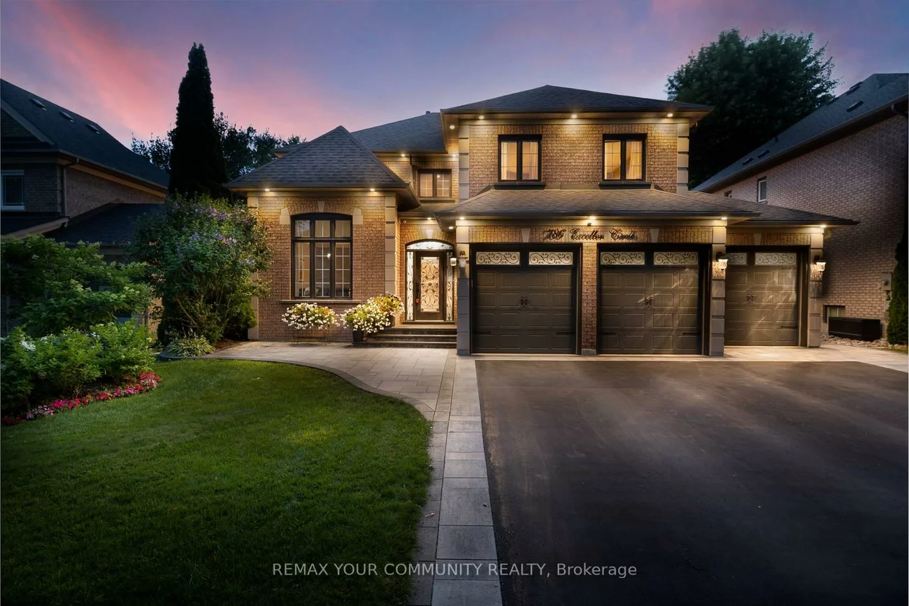 786, Exceller, Stonehaven-Wyndham, Newmarket